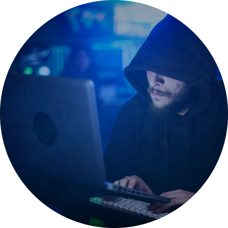 Virtual Penetration Tests Icon