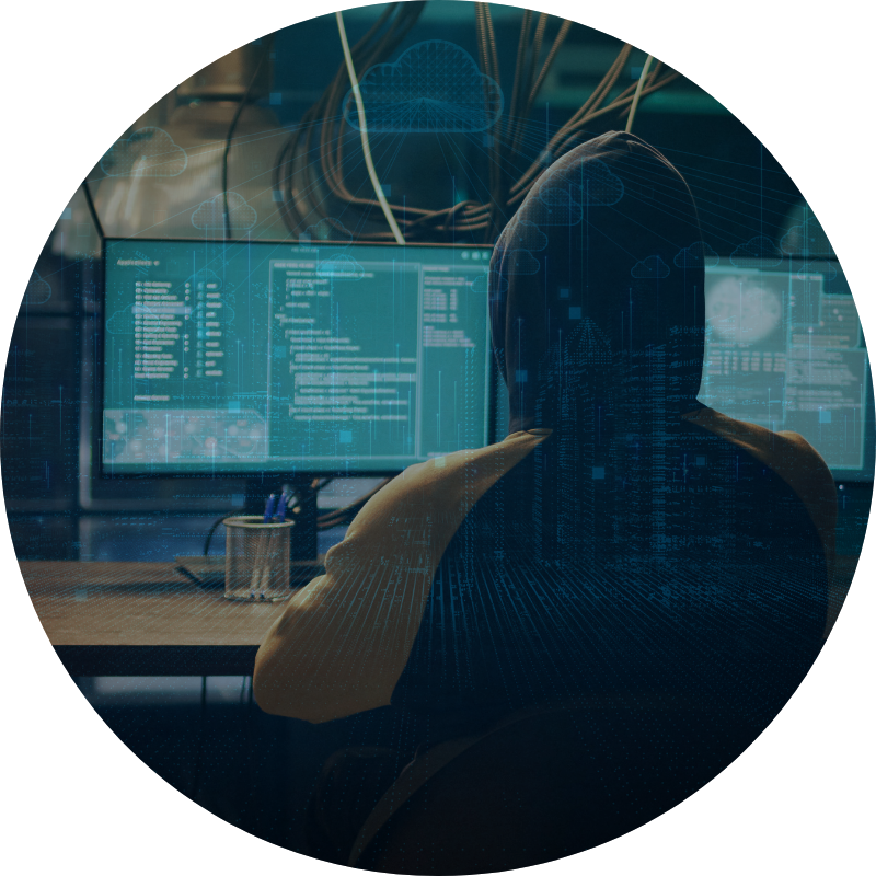 Vulnerability Assessment Icon